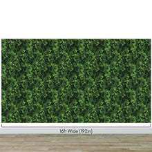 Carregar imagem no visualizador da galeria, Green Leaves Pattern Wallpaper Mural. Botanical Wall Mural. #6744