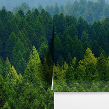 Load image into Gallery viewer, Green Forest Wallpaper Mural. Scenic Landscape Wall Mural. #6894