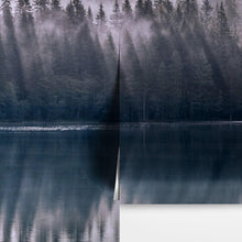 Carregar imagem no visualizador da galeria, Pine Trees Forest Lake View Wall Mural Wallpaper. #6754