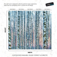 Carregar imagem no visualizador da galeria, White Birch Tree Forest Wall Mural Wallpaper. Sunset Scenery. #6246