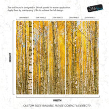 Load image into Gallery viewer, Autumn Scenic Birch Tree Forest Wall Mural | Peel and Stick Wallpaper. #6202