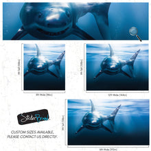Load image into Gallery viewer, Great White Shark Wall Mural. Peel and Stick Wallpaper. #6700
