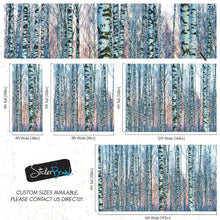 Carregar imagem no visualizador da galeria, White Birch Tree Forest Wall Mural Wallpaper. Sunset Scenery. #6246