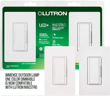 Load image into Gallery viewer, Immense Outdoor Lamp