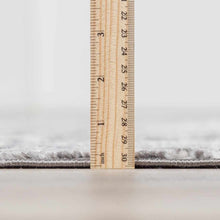 Load image into Gallery viewer, Georgiana Charcoal Area Rug