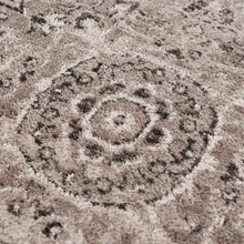 Carregar imagem no visualizador da galeria, Albie Charcoal & Beige Area Rug - Clearance