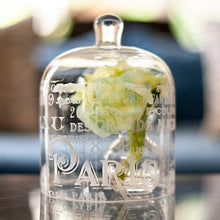 Load image into Gallery viewer, All Things Etching Bundle