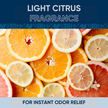 Load image into Gallery viewer, RV Holding Tank Treatment Liquid - Citrus