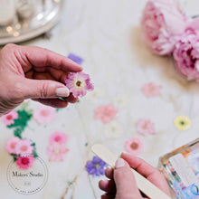 Load image into Gallery viewer, Blue & Yellow Multi Dried Flowers