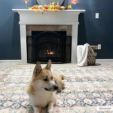 Load image into Gallery viewer, Maligaya Distressed Washable Rug - Clearance