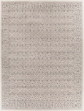 Load image into Gallery viewer, Sattley Area Rug