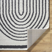 Load image into Gallery viewer, Bauer Plush Black Rainbow Rug - Clearance
