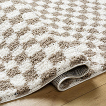 Load image into Gallery viewer, Kieu Taupe Checkered Shag Rug