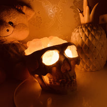 Load image into Gallery viewer, Himalayan Crystal Salt Skull Lamp