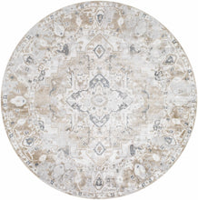 Load image into Gallery viewer, Dobry Boutique Washable Rug