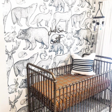 Carregar imagem no visualizador da galeria, James Wallpaper