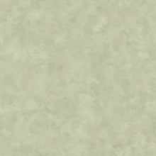 Carregar imagem no visualizador da galeria, Limewash Wallpaper