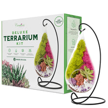 Carregar imagem no visualizador da galeria, 7" Glass Tear Drop Succulent Terrarium Kit