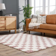 Load image into Gallery viewer, Atira Pink Checkered Shag Rug