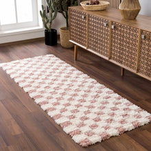 Load image into Gallery viewer, Atira Pink Checkered Shag Rug