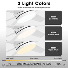 Carregar imagem no visualizador da galeria, 60" Volga DC Motor 6 Blades Modern Downrod Mount Ceiling Fan with Remote Control