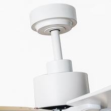 Carregar imagem no visualizador da galeria, 72 Inch Elbe Modern Downrod Mount Ceiling Fan with Light and Remote Control