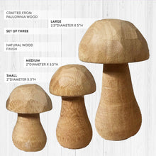 Carregar imagem no visualizador da galeria, Whimsical Wooden Mushrooms, Set of 3
