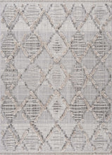 Load image into Gallery viewer, Bogtong High-Low Rustic Rug