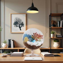 Carregar imagem no visualizador da galeria, 6" Glass Chalice Succulent Terrarium Kit