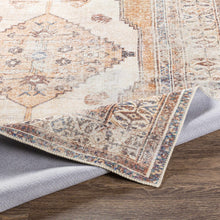 Carregar imagem no visualizador da galeria, Arncliffe Washable Area Rug - Promo