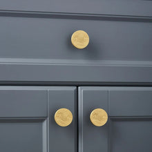 Load image into Gallery viewer, Aniva Knob & Pull Bar