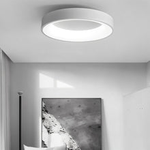 Load image into Gallery viewer, Annabelle Ceiling Light