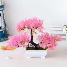 Carregar imagem no visualizador da galeria, Ornamental Bonsai Tree