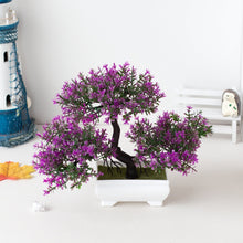 Carregar imagem no visualizador da galeria, Ornamental Bonsai Tree