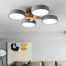 Load image into Gallery viewer, Ashane Ceiling Light