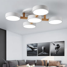 Load image into Gallery viewer, Ashane Ceiling Light