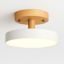 Load image into Gallery viewer, Ashane Ceiling Light