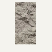 Load image into Gallery viewer, Asthene Wall Panel