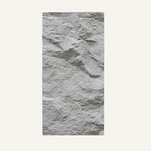 Load image into Gallery viewer, Asthene Wall Panel