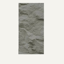 Load image into Gallery viewer, Asthene Wall Panel