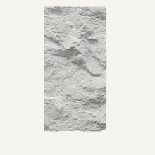 Load image into Gallery viewer, Asthene Wall Panel