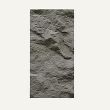 Load image into Gallery viewer, Asthene Wall Panel