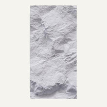 Load image into Gallery viewer, Asthene Wall Panel