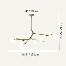 Load image into Gallery viewer, Astraia Chandelier Light