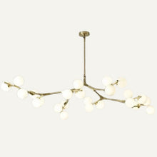 Load image into Gallery viewer, Astraia Chandelier Light