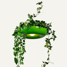 Load image into Gallery viewer, Aula Pendant Light