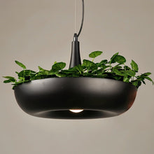 Load image into Gallery viewer, Aula Pendant Light