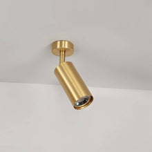 Load image into Gallery viewer, Aurea Ceiling Light