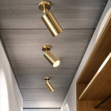 Load image into Gallery viewer, Aurea Ceiling Light