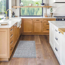 Load image into Gallery viewer, Albuquerque Area Rug